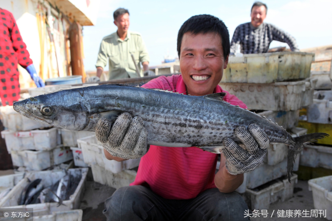 冰冻鱼和冰鲜鱼,冰冻鱼与新鲜鱼营养价值一样吗