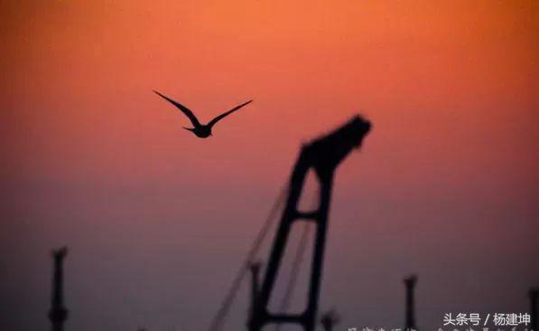 晕车的人做海员能克服晕船吗,晕车严重的人做远洋海员会晕船吗