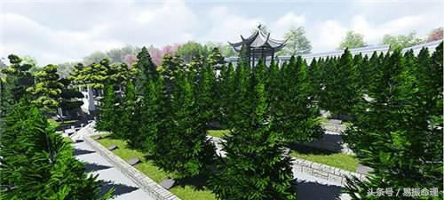 坟后边的路有什么影响,坟周围的坑有何影响如何处理