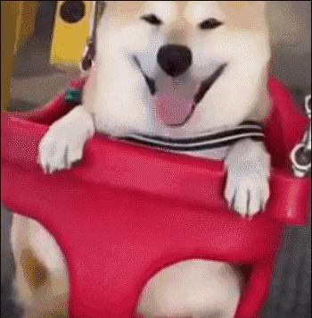 北京最大的进口超市,北京最新进口超市在哪里