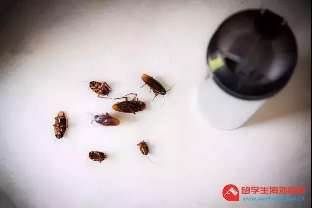 awehome怎么样,awehome靠谱吗