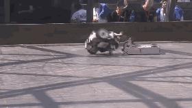 杭州未来生活节预约,杭州国际未来生活节