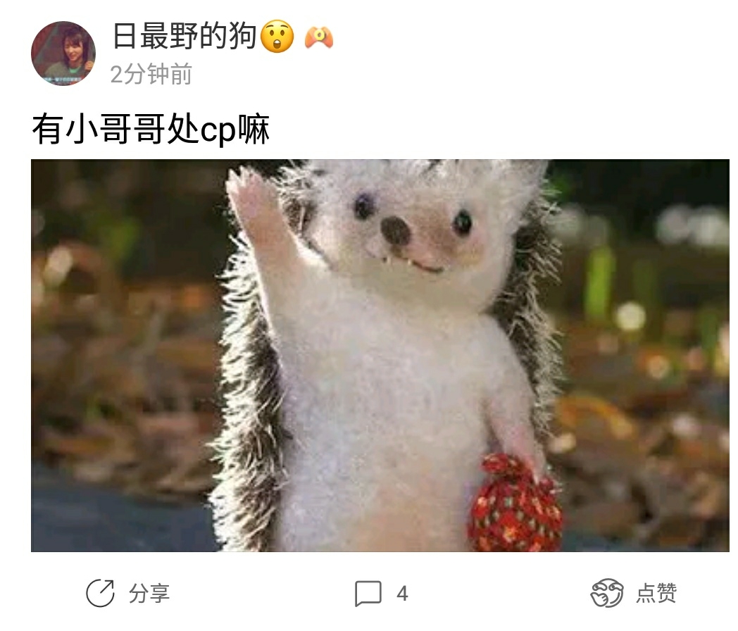 让人疑惑的聊天缩写，连麦、找cp，95、00后和我们有代沟