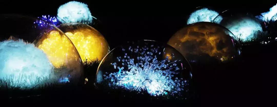 南艺爆料,南艺日常