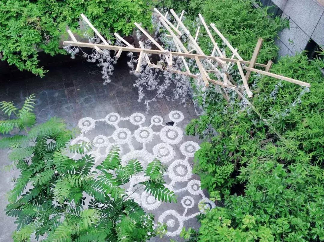 南艺你不知道的事,南艺的真实生活