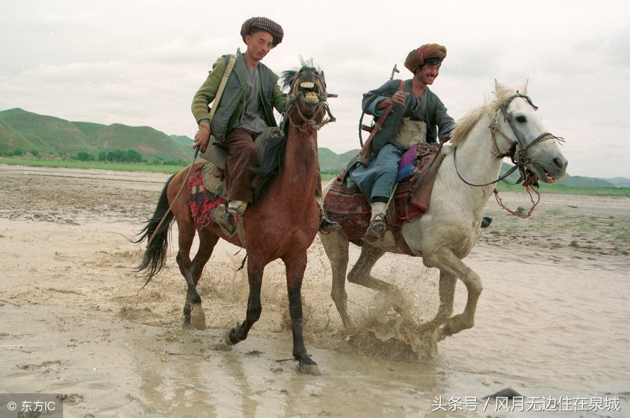 蒙古马和套马图片,蒙古套马绳子教学