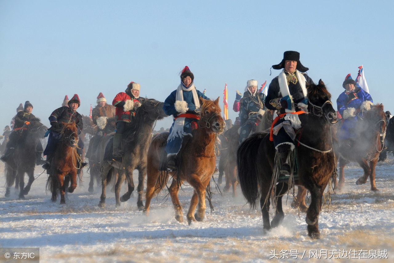 蒙古马和套马图片,蒙古套马绳子教学