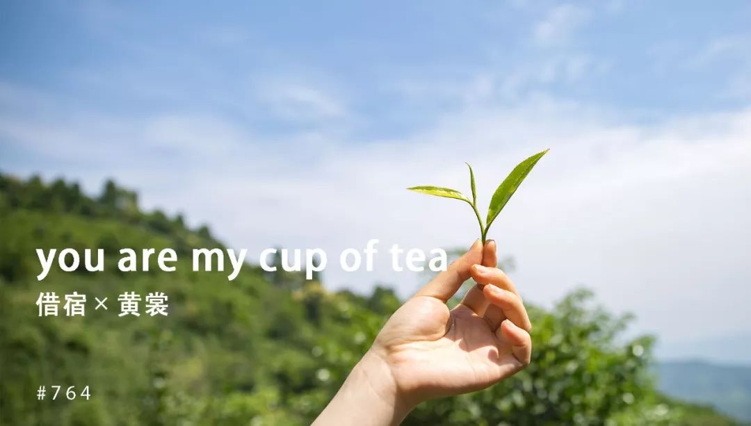 他找来浙大团队,用茶研发洗护用品,成了日本人都在代购的新国货