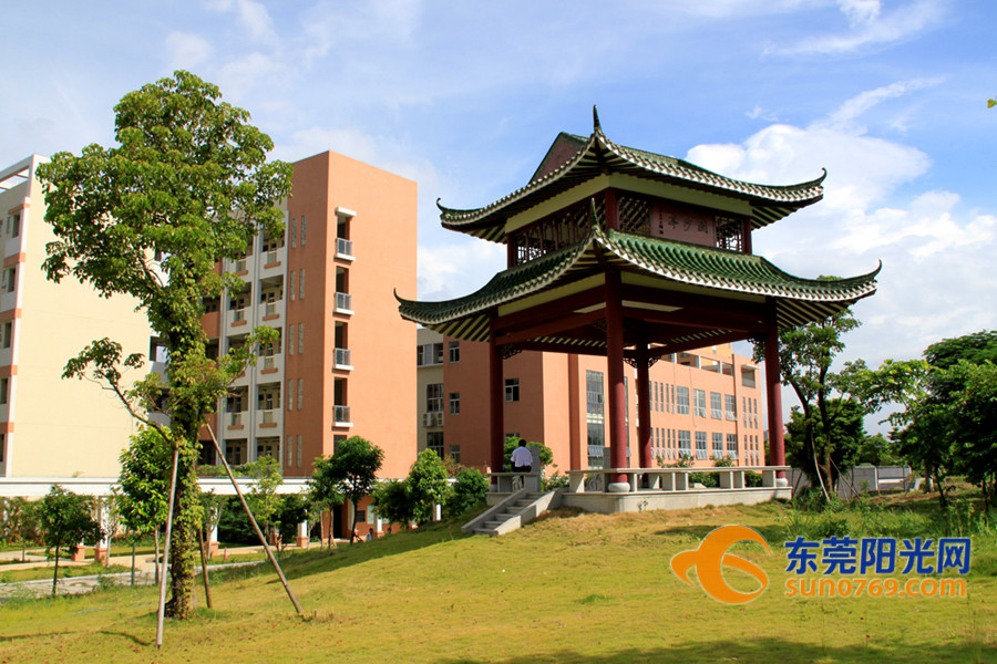 东莞市可园中学,东莞市可园中学中考成绩