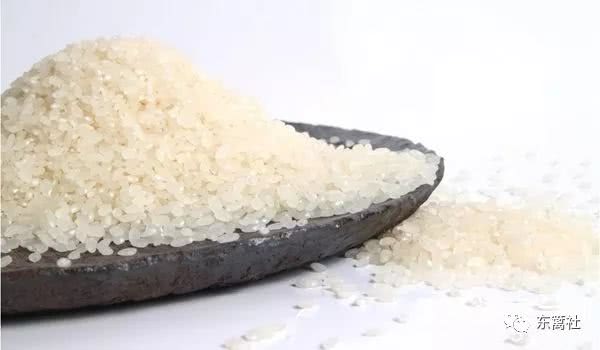 北大才女卖米演讲,北大才女卖米原因