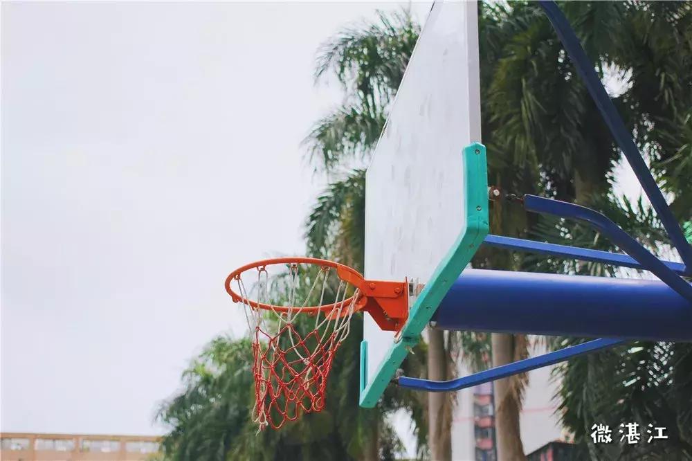 再见了四年级,再见了四年级的时光