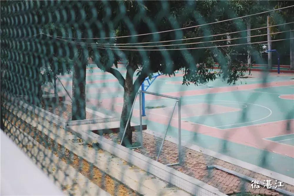 再见了四年级,再见了四年级的时光