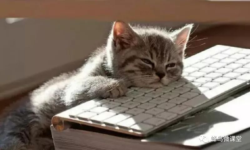 左眼取景还是右眼取景,单反用左眼还是右眼取景