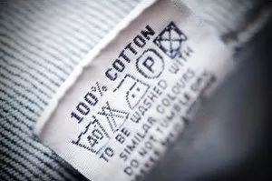 菠萝种草日常,菠萝日常种草学生党