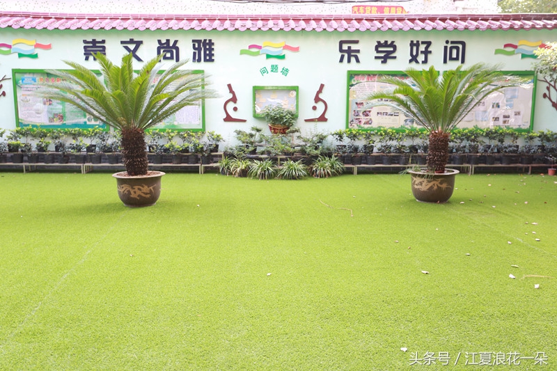 武汉市江夏实验小学,武汉市江夏区实验小学2019