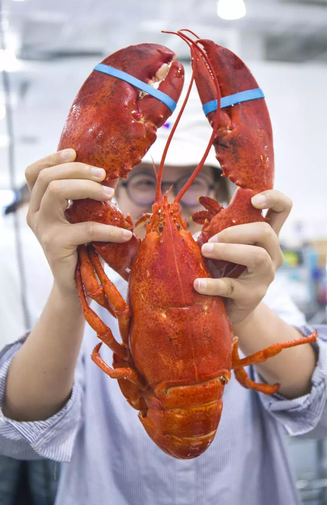 再也不用代购了！来自全球30个国家4000+商品火爆来袭！