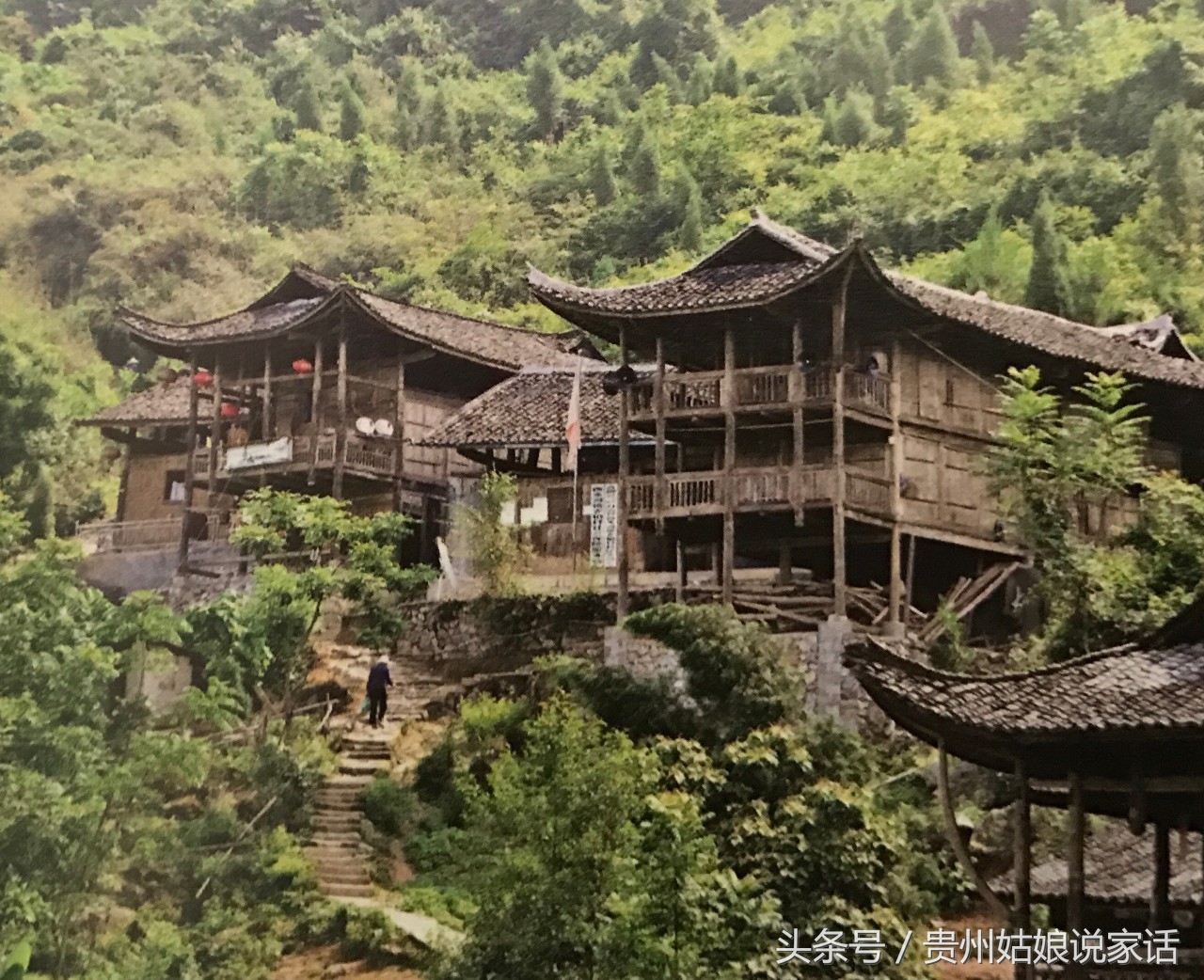 布依族的来历和风俗,布依族的风俗习惯特点讲解