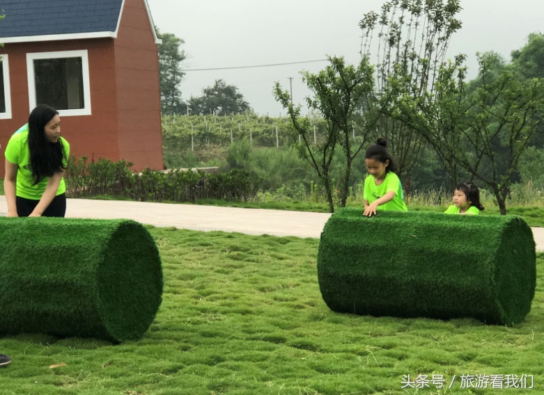 成都六一亲子游景点推荐,六一儿童节成都周边亲子游玩