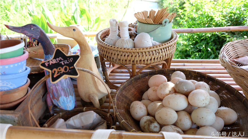 清迈民谣小清新,清迈清新小院