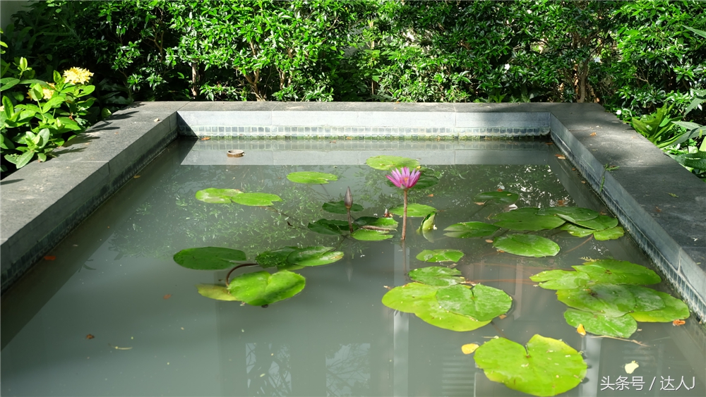 清迈民谣小清新,清迈清新小院