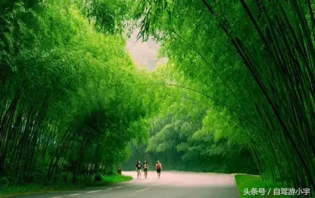 洛阳重渡沟野生动物园,郑州到洛阳重渡沟自驾