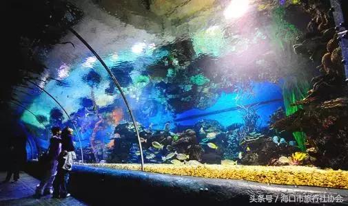 国内外十大好玩的大型游乐场,西安童真童趣游乐场