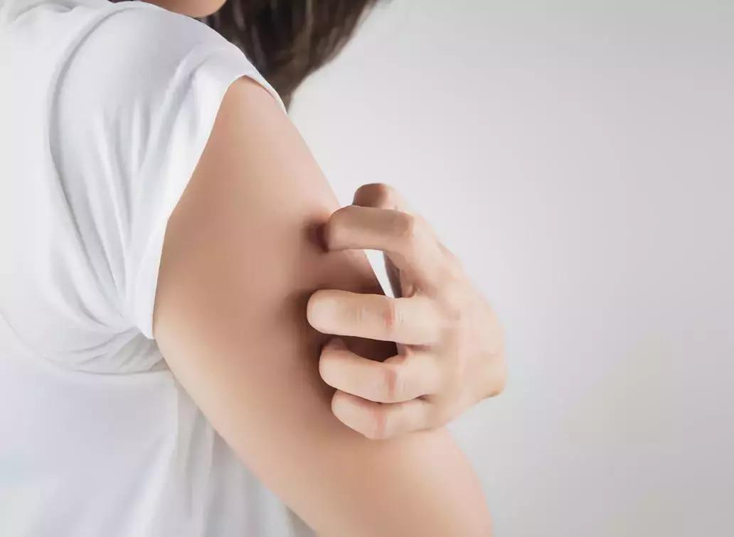 女人吃艾草茶有哪些作用,女人吃艾叶有什么好处呢