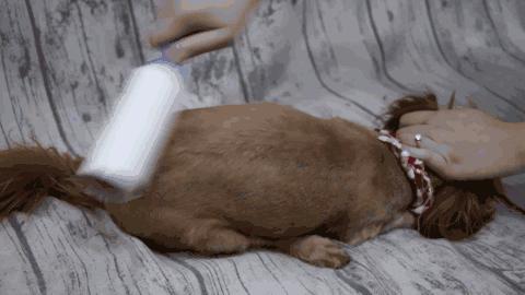 宜家里你不知道的秘密,去宜家的三件事