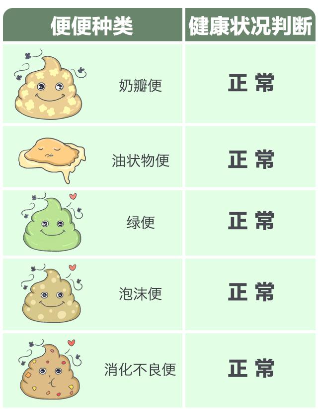 关于便便你不知道的知识,有关便便的知识