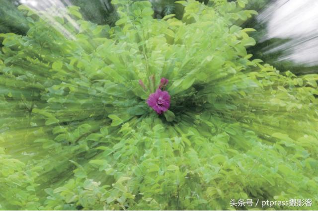 摄影后期六大剪裁技巧,摄影后期排版技巧图片