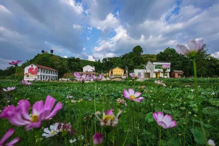 乡村振兴之美丽乡村建设调研,农城微旅
