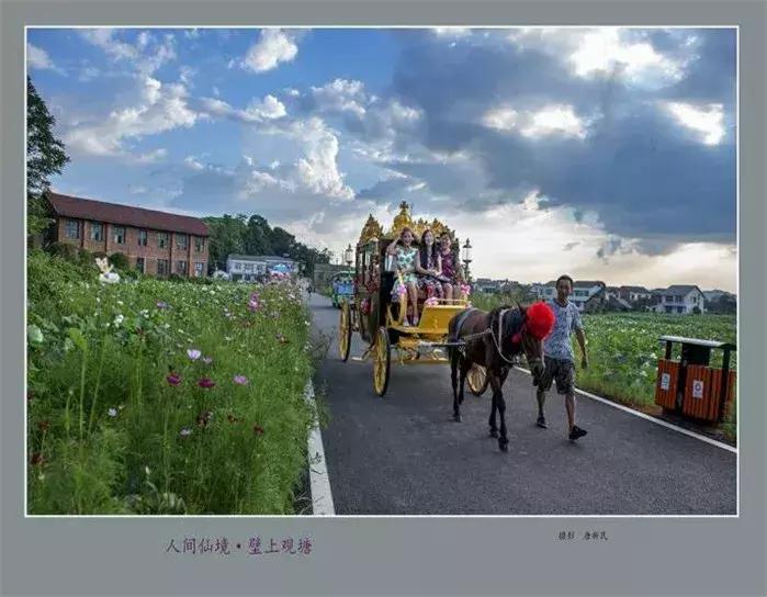 乡村振兴之美丽乡村建设调研,农城微旅