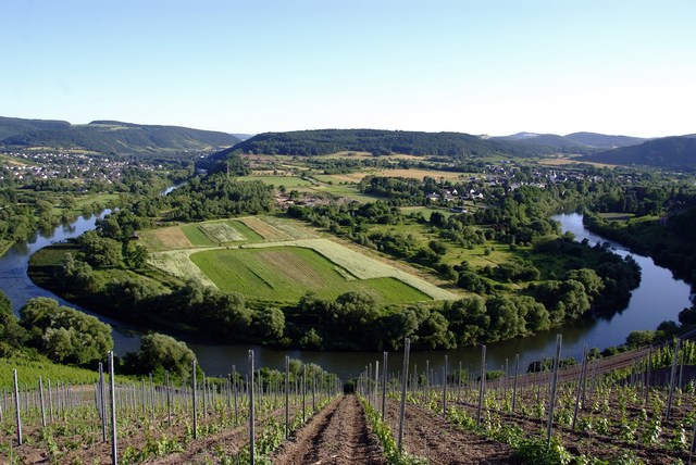 德国的初级葡萄酒怎么样,德国黑皮诺干红葡萄酒
