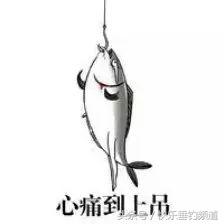 郑州土豪垂钓赛事件,土豪垂钓赛最新消息