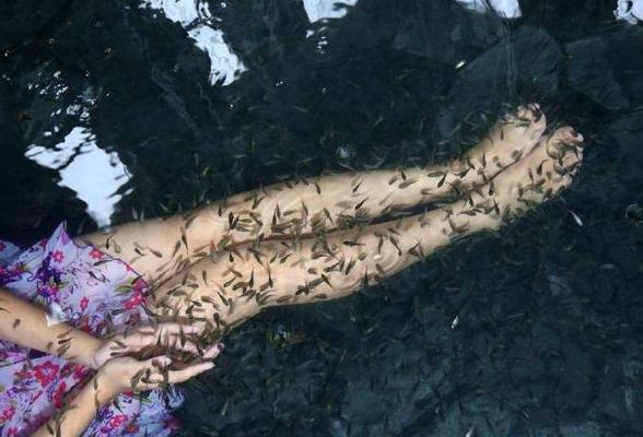 女子三年不洗脚，闺蜜受不了带她去鱼疗，万万没想到发生这种事