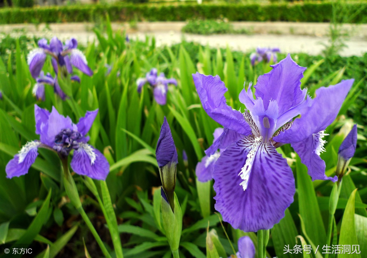 人到老了屁股会萎缩吗,马屁是不是随便拍的