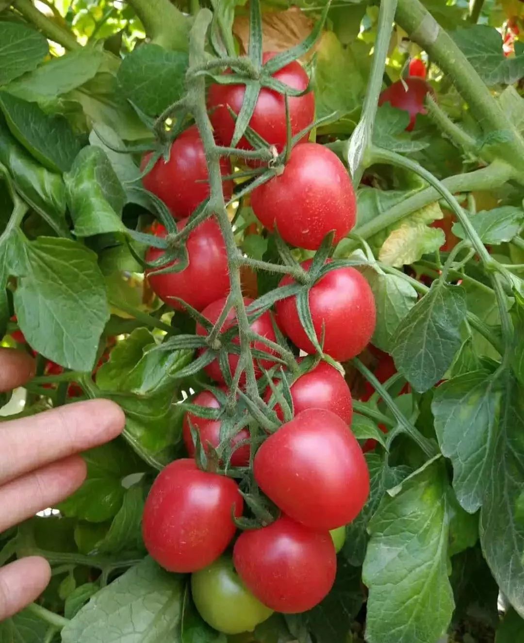 肥料销售利润,肥料经销商一年卖一千吨肥料