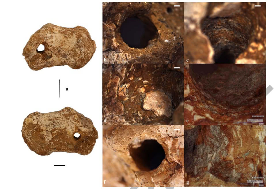 耶稣是怎么死的,耶稣真正尸体在哪里
