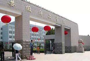 蚌埠为什么是皖北第一城,阜阳和蚌埠谁是皖北第一大站