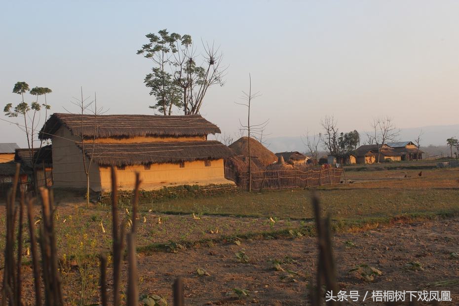财主家的风水传说,农村土财主风水