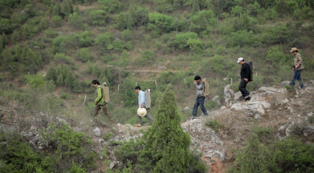 画家的画夹：李小可后背上的份量