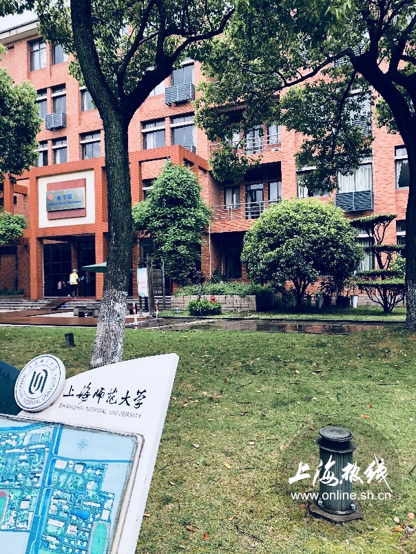 绿树成荫景色宜人清新空气,绿树成荫环境优美空气清新