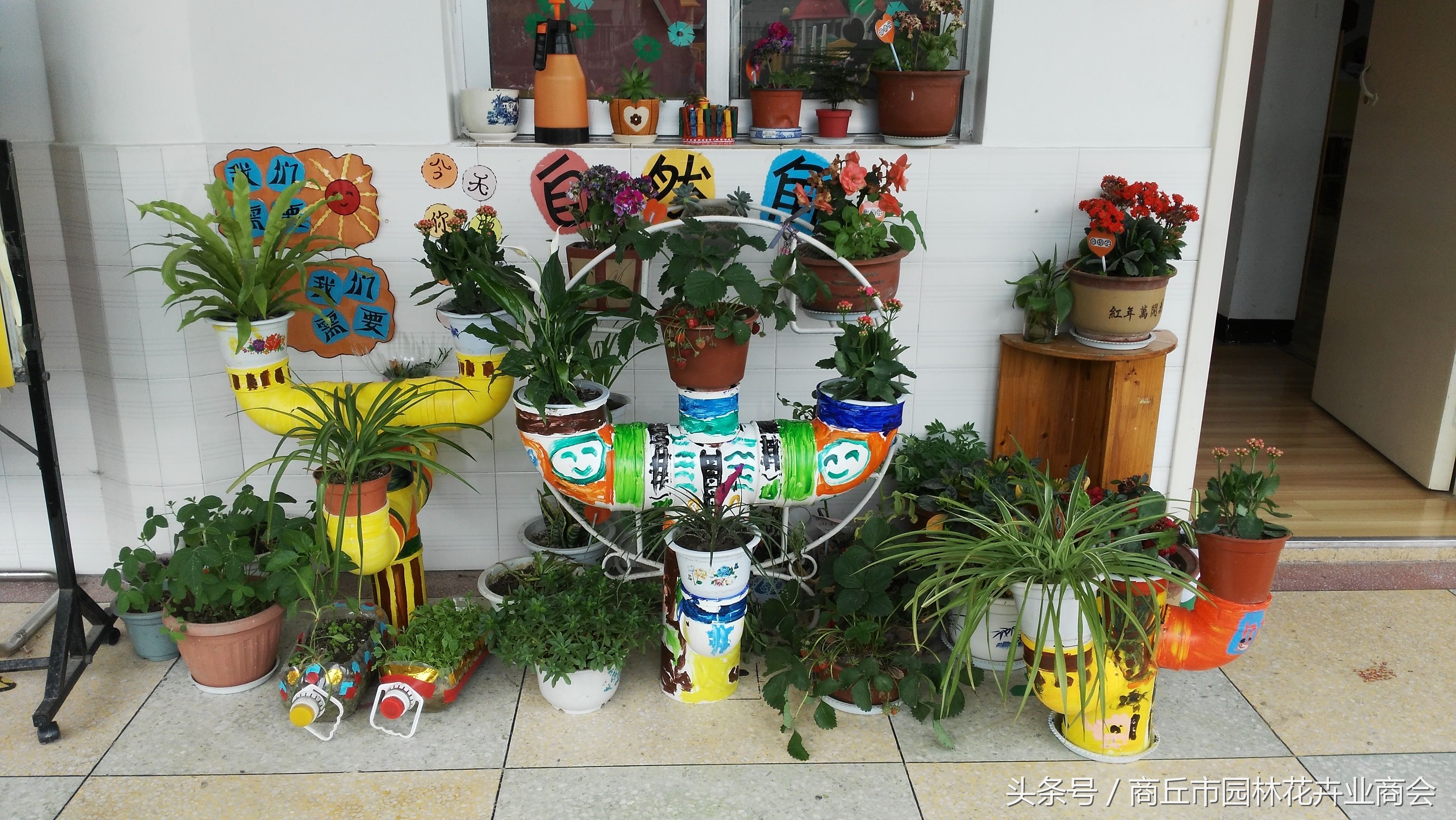 花盆里面的杂草可以拔吗,花盆底部长出根要不要剪掉