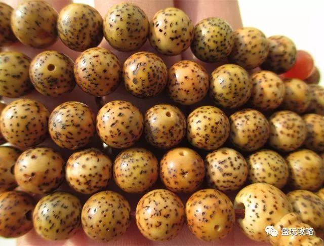 星月菩提盘着有些珠子返阴怎么办,星月菩提盘玩时可以在脸上蹭油吗