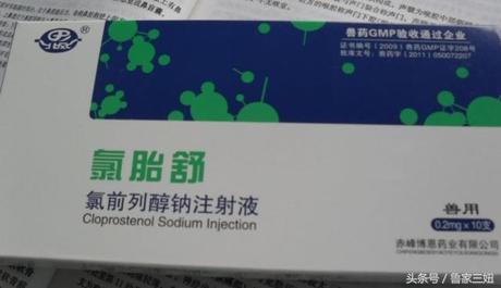 母猪管理技术视频教程,夏季怎样赶母猪下产床