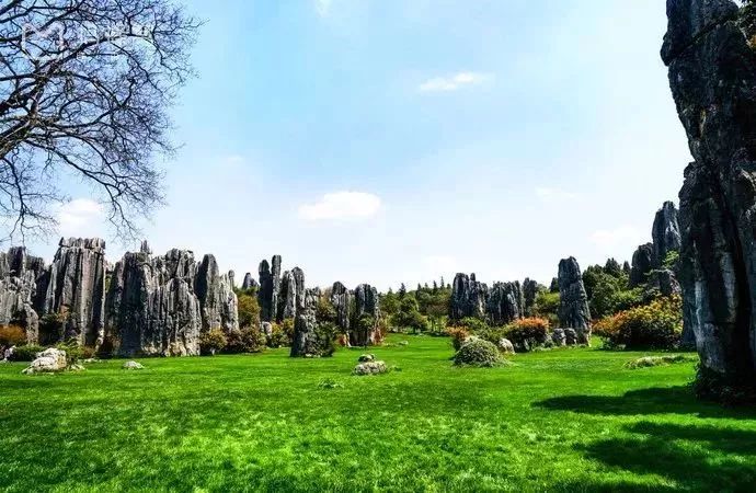 宝鸡到昆明的机票多少钱,宝鸡到昆明火车硬卧多少钱