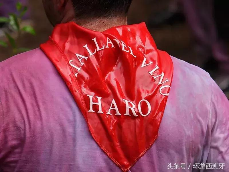 西班牙旅游红酒,法国葡萄酒旅游攻略