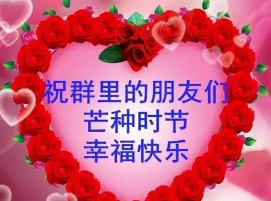 芒种暖心祝福文案,今日芒种的祝福表情动态图