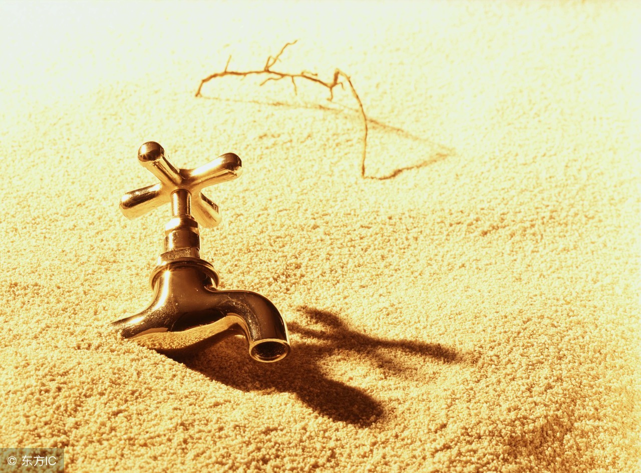 黑天鹅还会飞起来吗,黑天鹅飞起来的图片