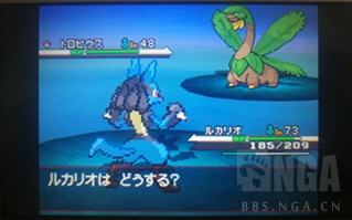 排名前十的精灵宝可梦游戏,精灵宝可梦盘点那些有趣的宝可梦